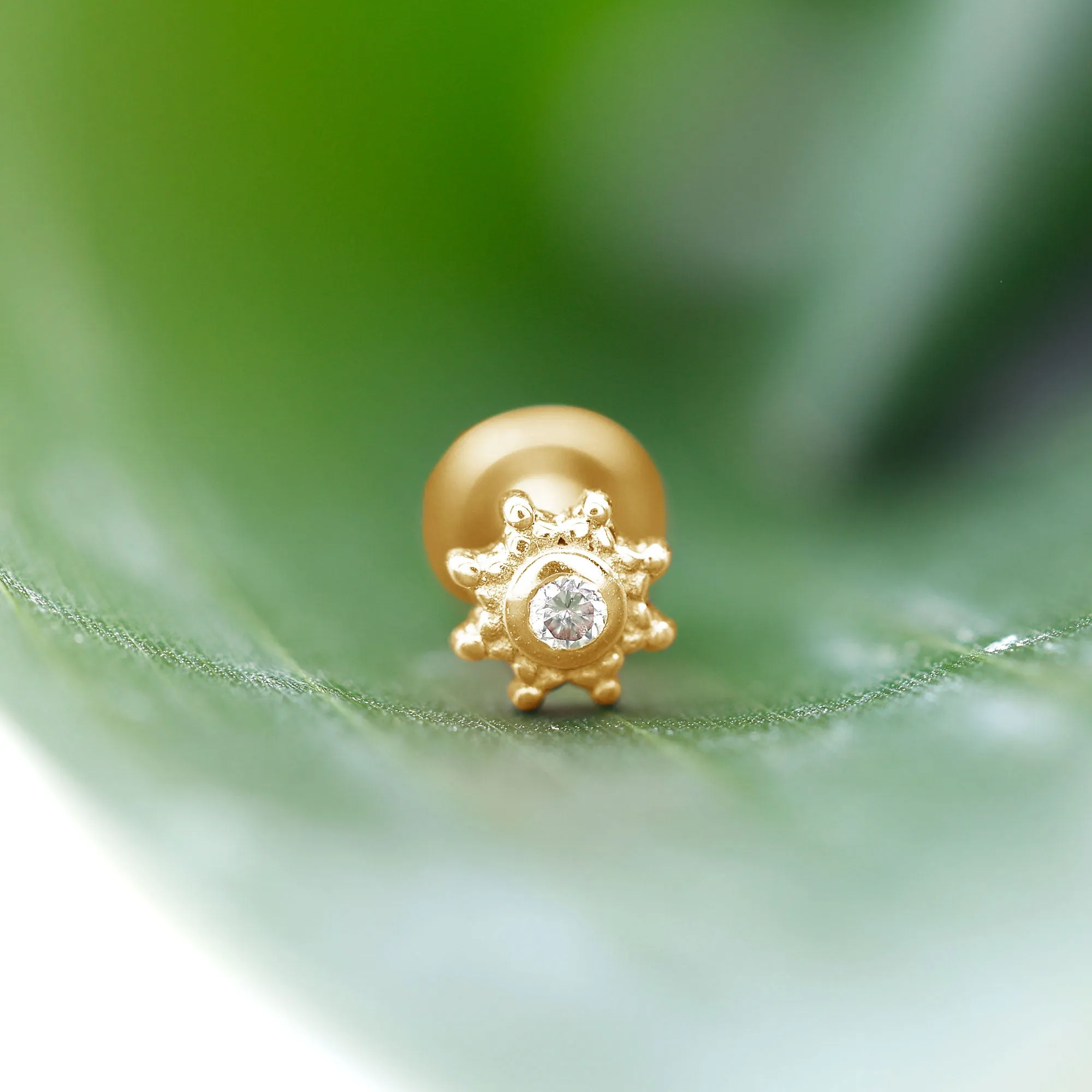 Dainty Diamond Gold Beaded Conch Earring