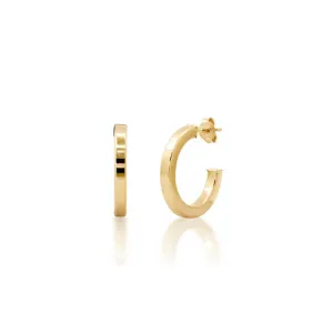 Majestic Charm Beautiful Earrings