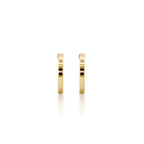 Majestic Charm Beautiful Earrings
