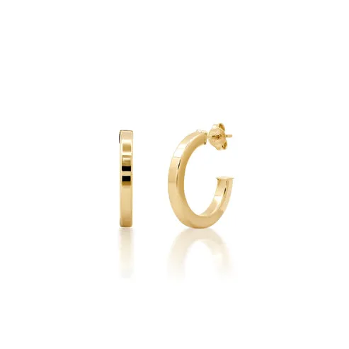 Majestic Charm Beautiful Earrings