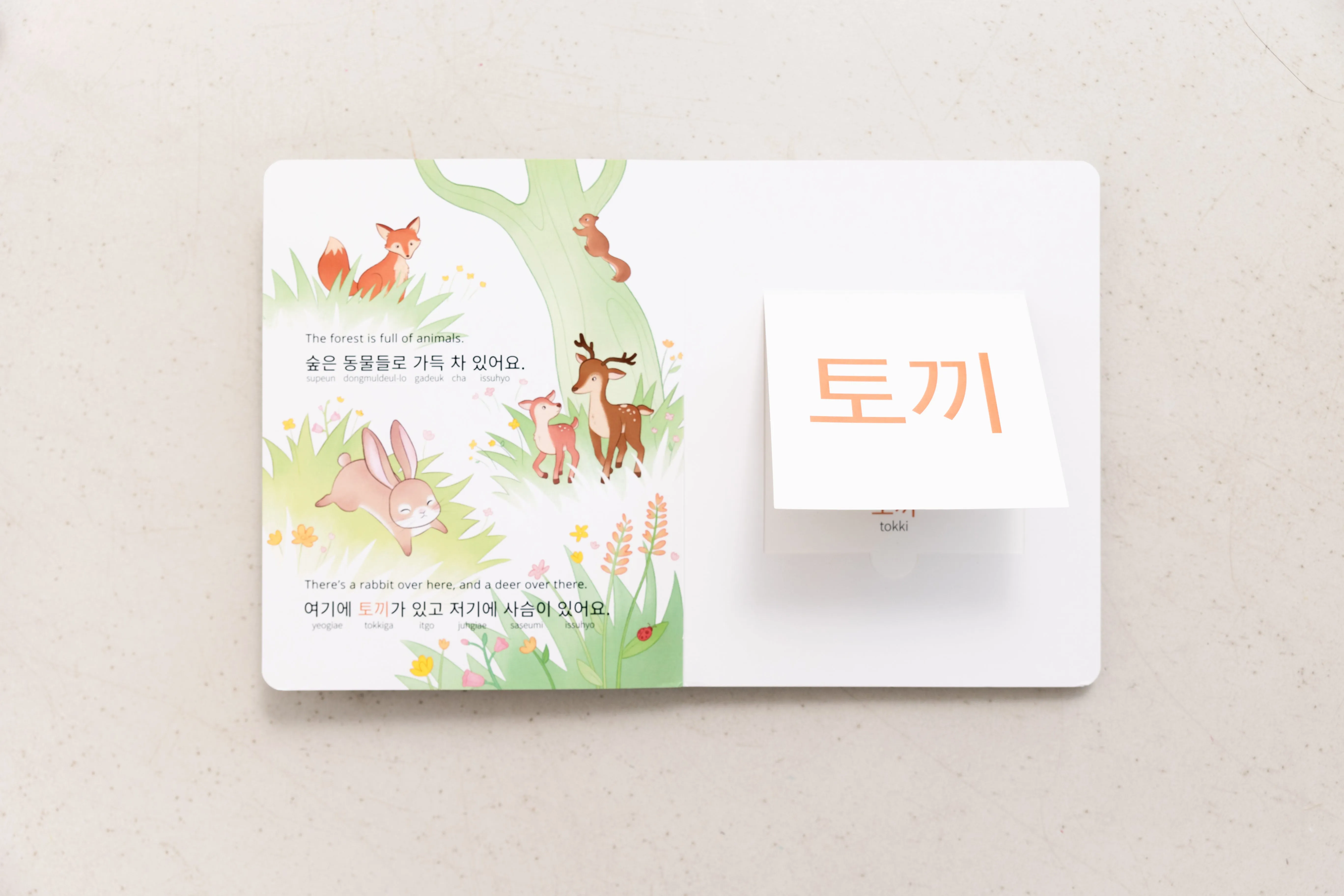 My Beautiful Earth: Korean-English