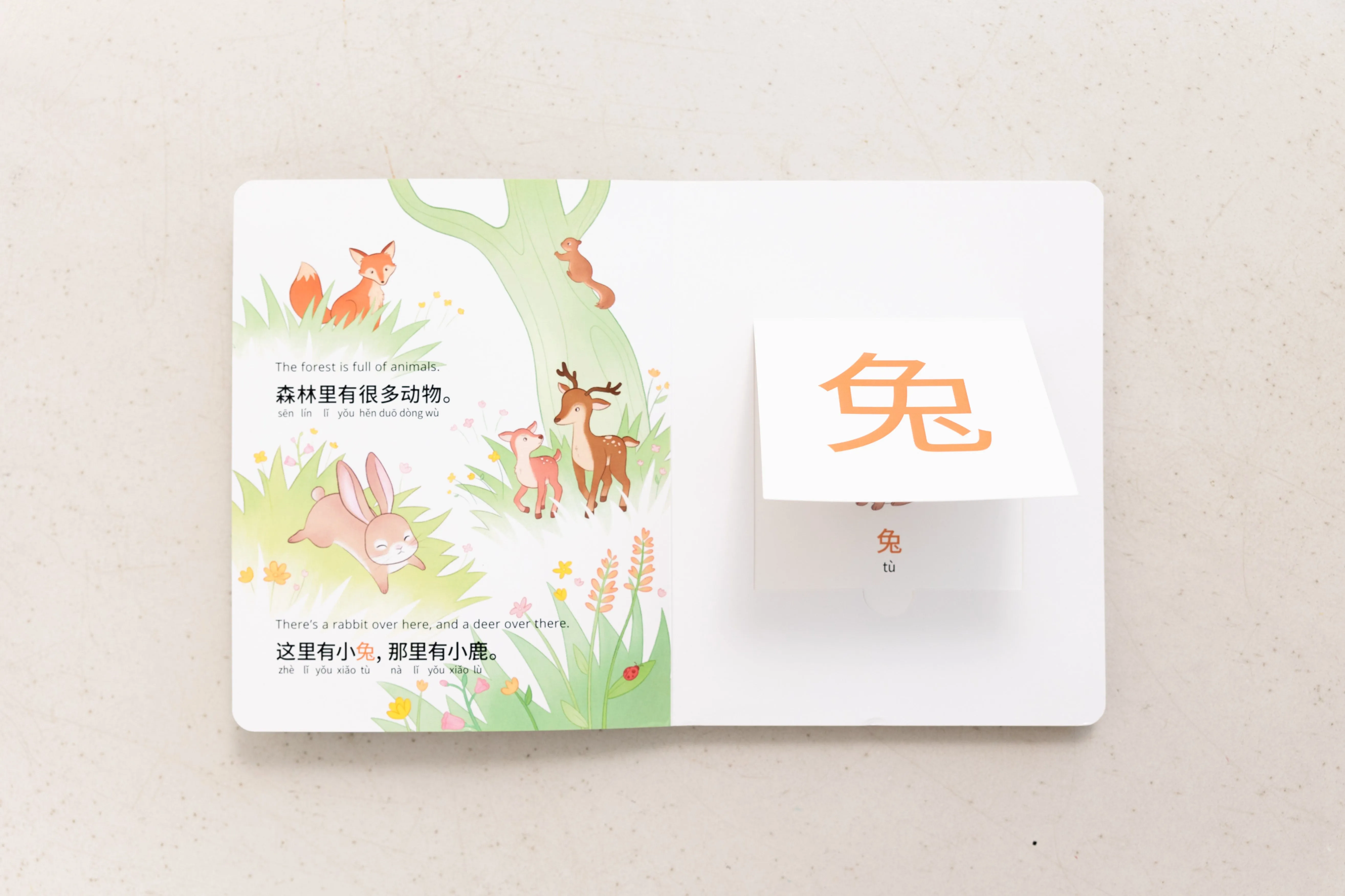 My Beautiful Earth: Simplified Chinese-English