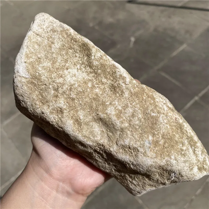Natural Jade Rough Jadeite Raw 1.63kg-RY013