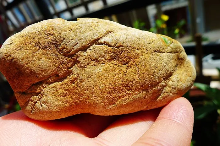 Natural Jade Rough Jadeite Raw (220g,7.8X4.3X4cm)