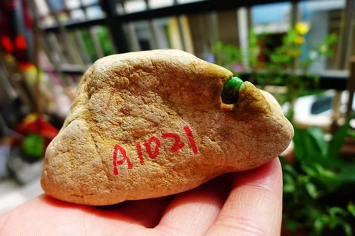 Natural Jade Rough Jadeite Raw (220g,7.8X4.3X4cm)