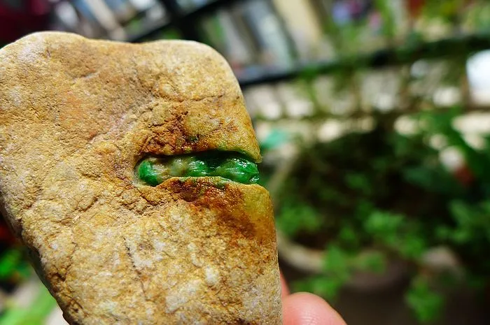 Natural Jade Rough Jadeite Raw (220g,7.8X4.3X4cm)