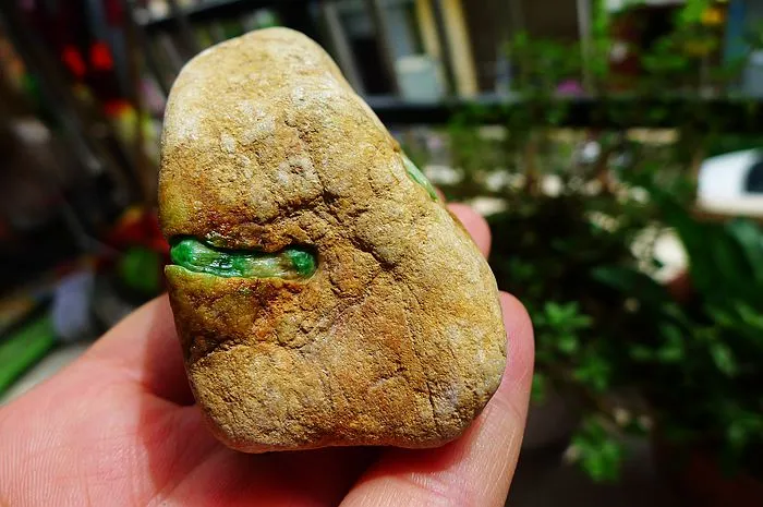 Natural Jade Rough Jadeite Raw (220g,7.8X4.3X4cm)