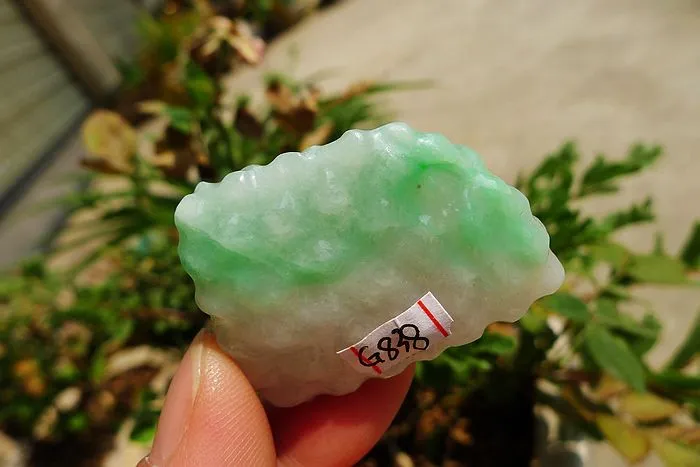 Natural Jade Rough Jadeite Raw (22g,3.8X2.65X1cm)