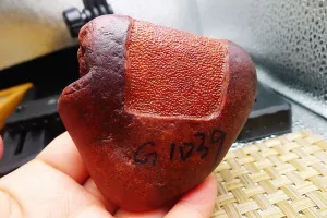 Natural Jade Rough Jadeite Raw (251g,7.4X6.8X2.7cm)