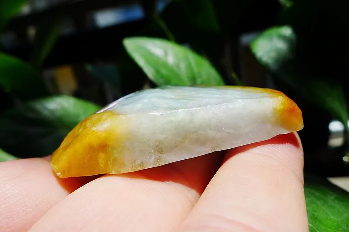 Natural Jade Rough Jadeite Raw (33g,5X3.8X1.08cm)