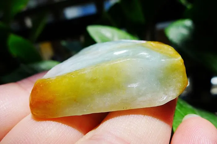 Natural Jade Rough Jadeite Raw (33g,5X3.8X1.08cm)