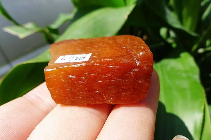 Natural Jade Rough Jadeite Raw (40g,4.1X3.3X1.15cm)
