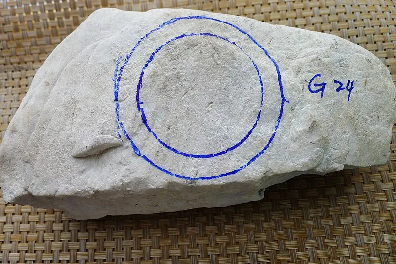 Natural Jade Rough Jadeite Raw (4.35kg,24X13X9.6cm)