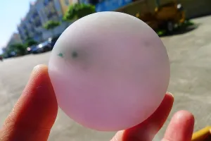Natural Jade Rough Jadeite Raw (66g,5.6X5.6X0.8cm)