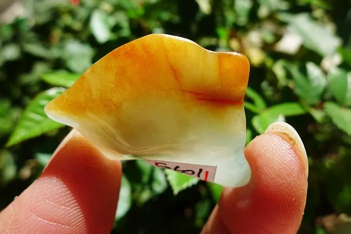 Natural Jade Rough Jadeite Raw (7.4g,3.3X2.4X0.8cm)