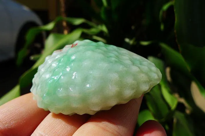Natural Jade Rough Jadeite Raw (77g,5.8X3.7X2.5cm)