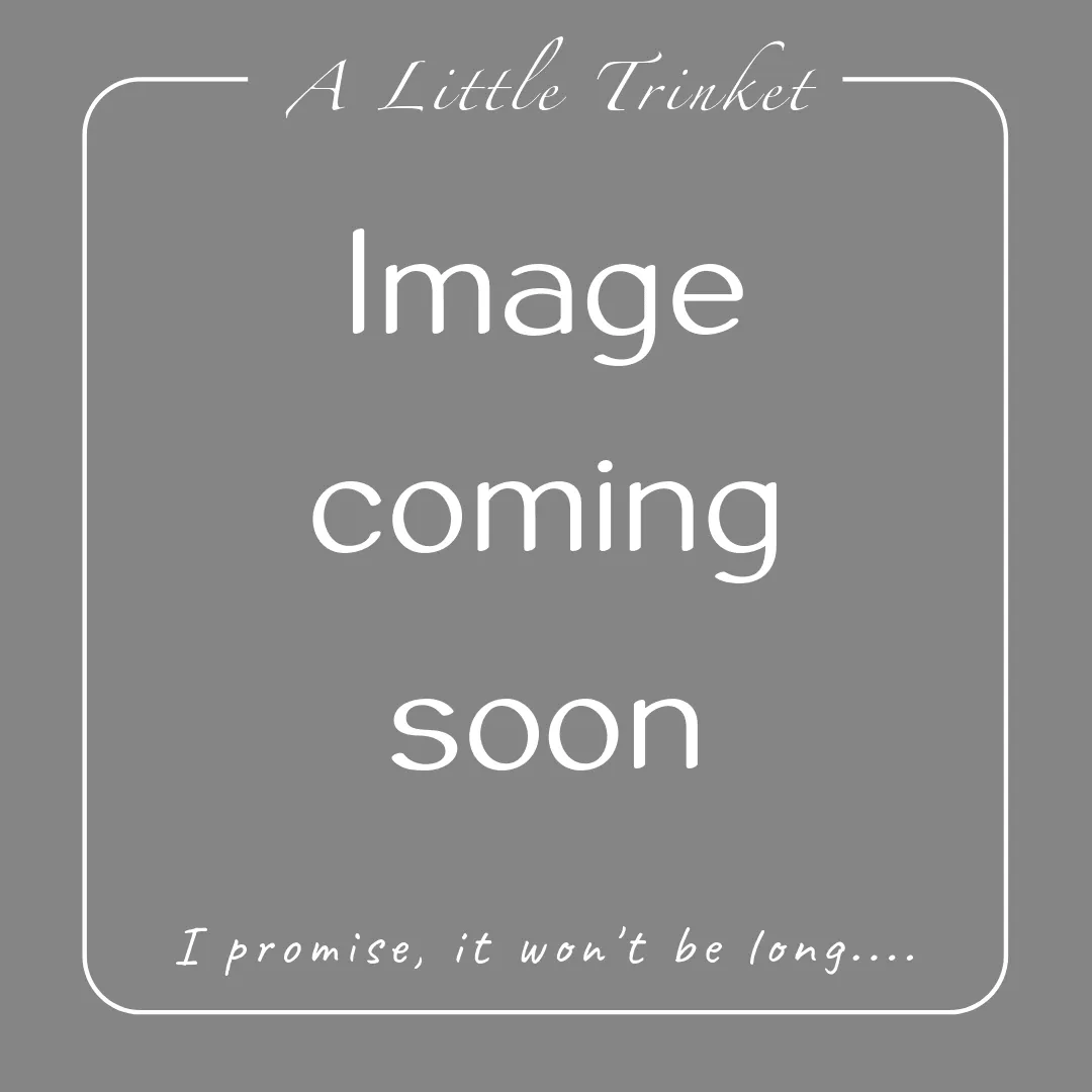 Noviomagus Collection - Melissa Pebble Clip on Charms