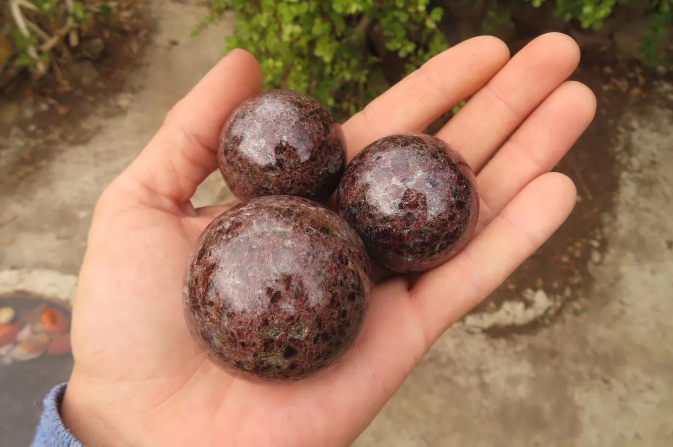 Polished Pyrope Garnet Matrix Spheres x 6 From Madagascar