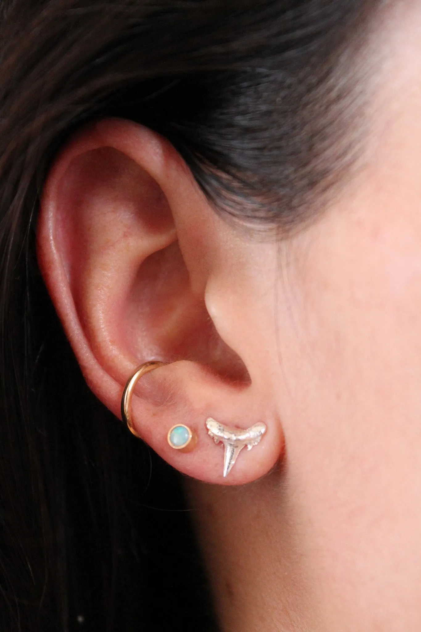 SHARK TOOTH STUDS