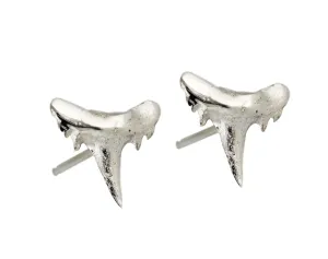 SHARK TOOTH STUDS