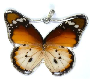 Whole Butterfly Pendant, African Monarch Butterfly